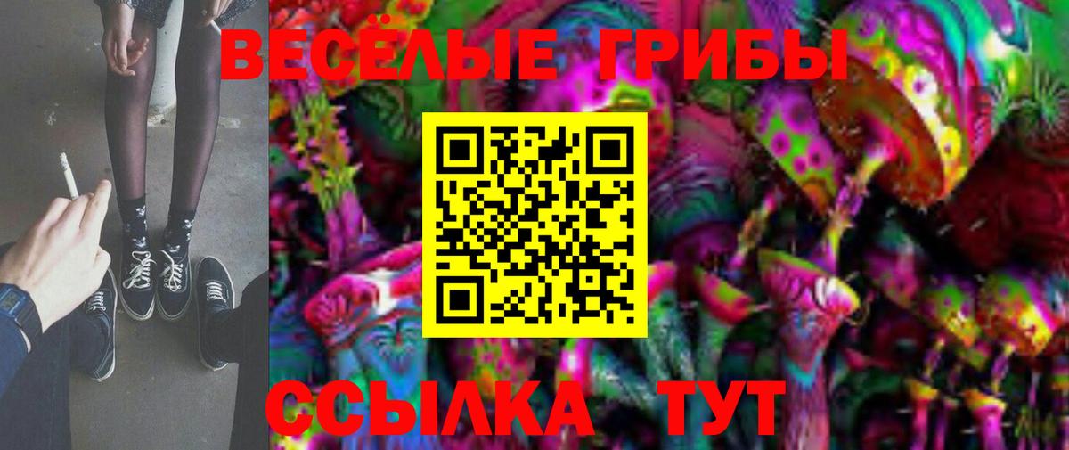 купить наркотик  Галлюциногенные грибы Cubensis  Вход с VPN  Мичуринск 
